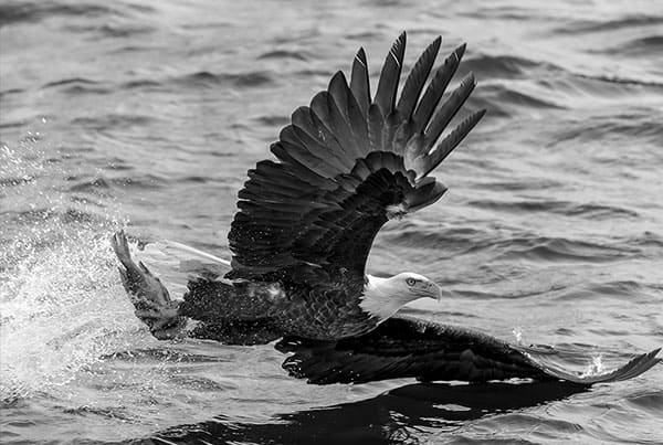 blog10 free img blog.psychichealerbaba.com